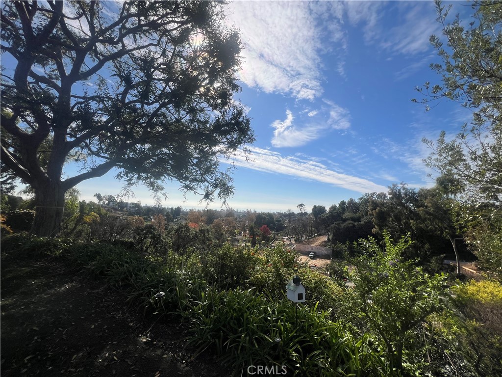 1055 Las Pulgas Property Photo 4