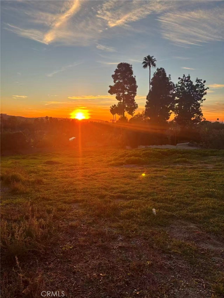 20528 E Rancho Los Cerritos Property Photo 4