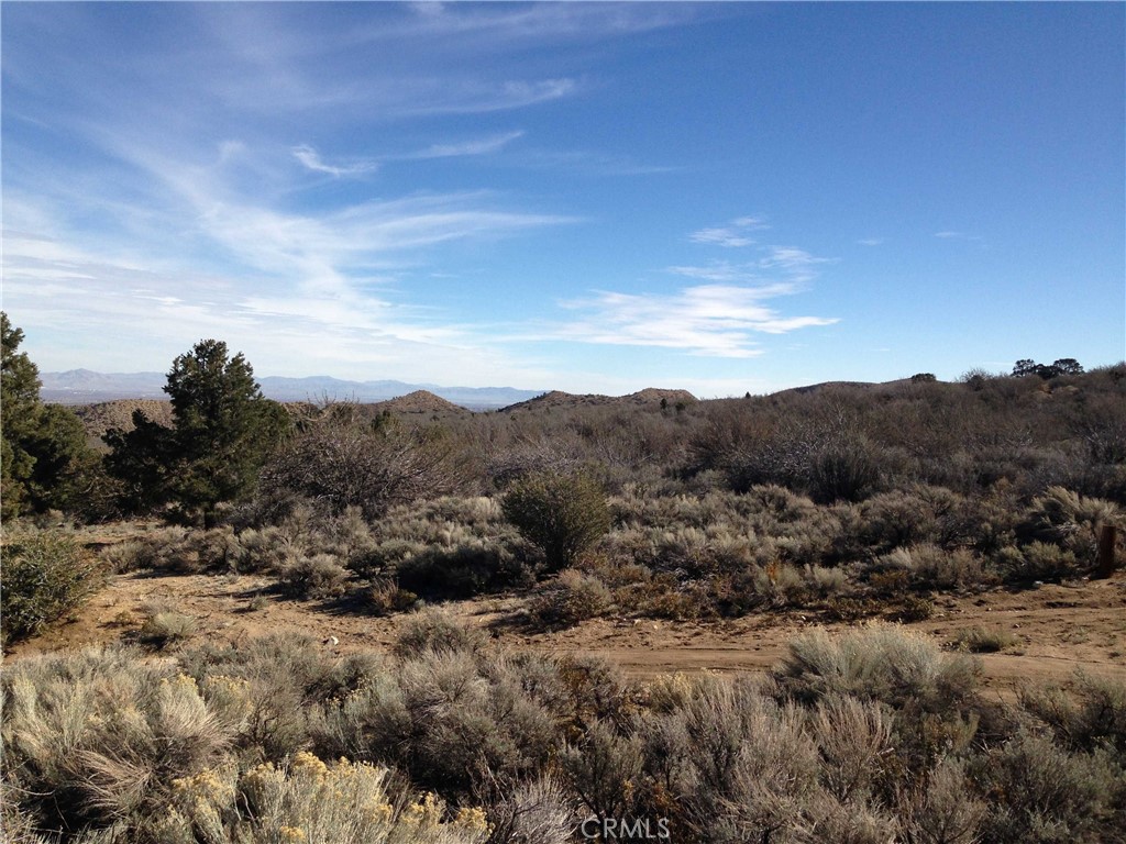 0 Vacant Land Property Photo 10