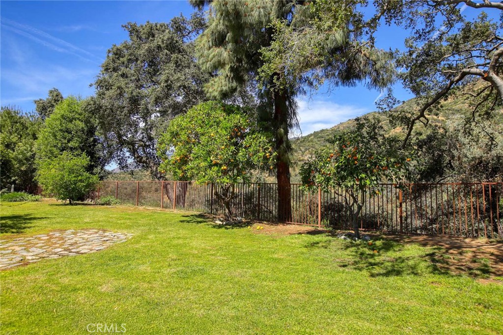 281 Spinks Canyon Property Photo 41
