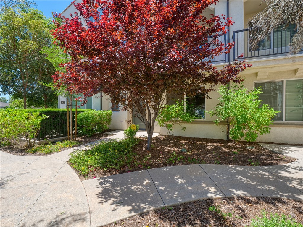 3375 Lynd Avenue Property Photo 38