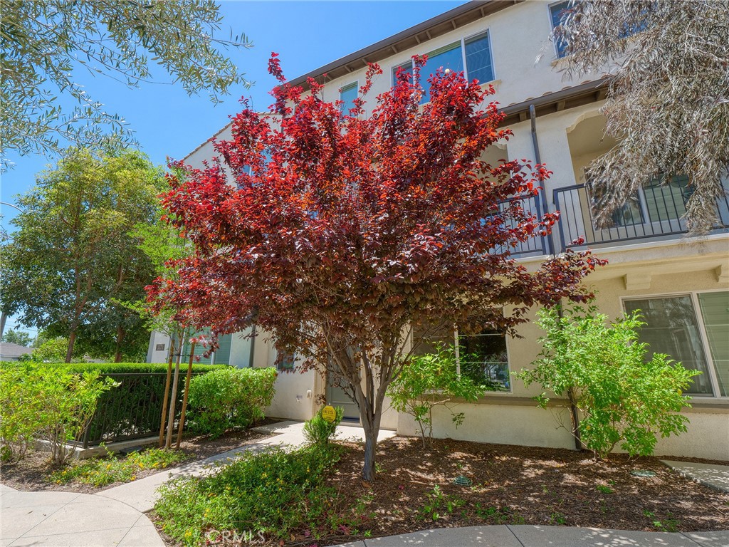 3375 Lynd Avenue Property Photo 39