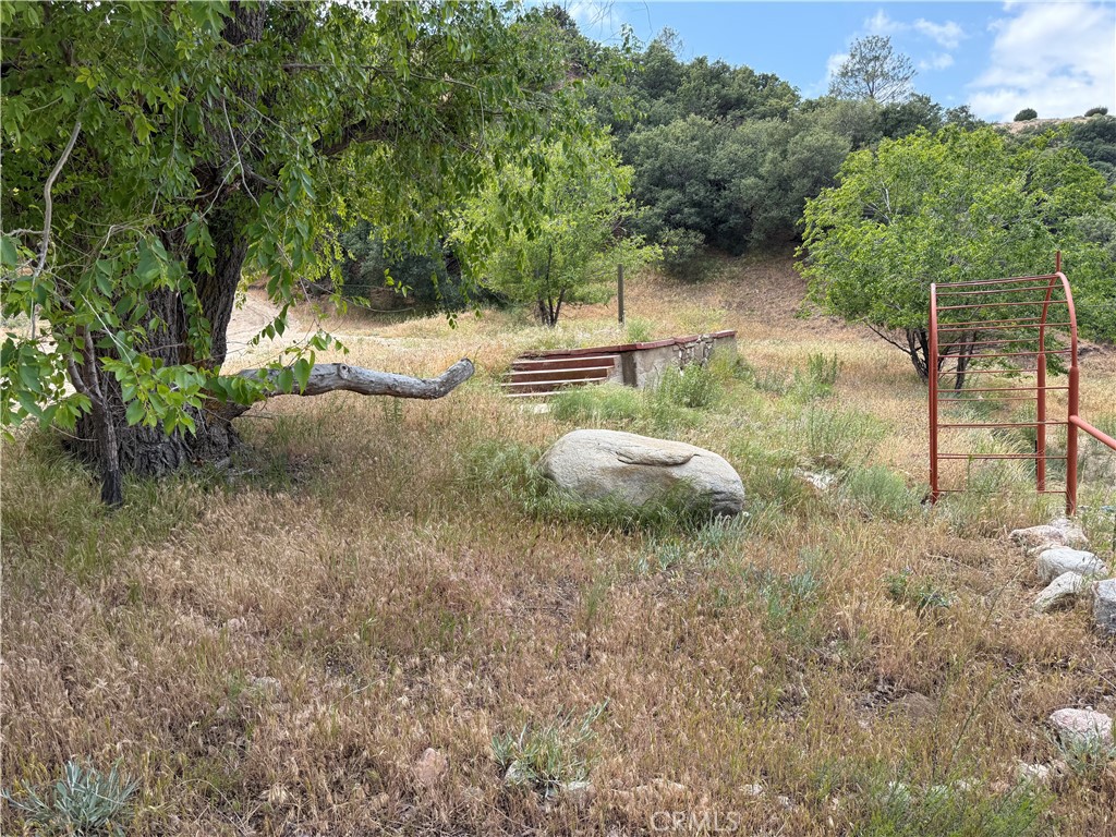 35442 Lancaster Road Property Photo 19