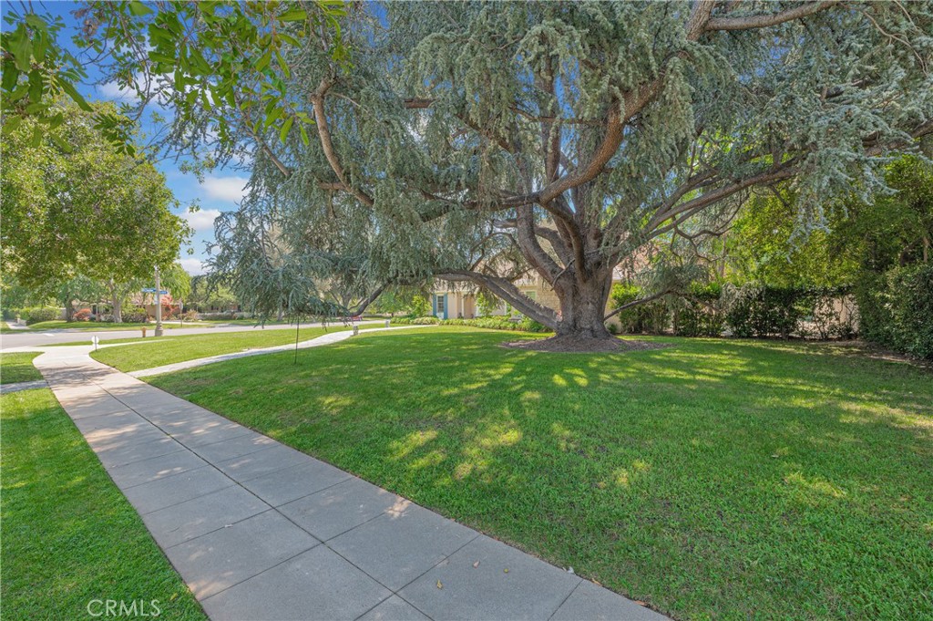 2170 Lombardy Property Photo 64