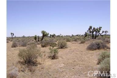 0 Avenue N Property Photo 1