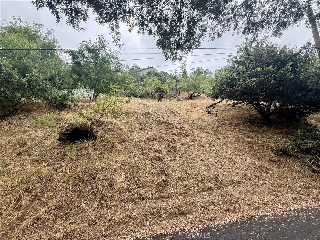 848 Ganymede Drive Property Photo 4