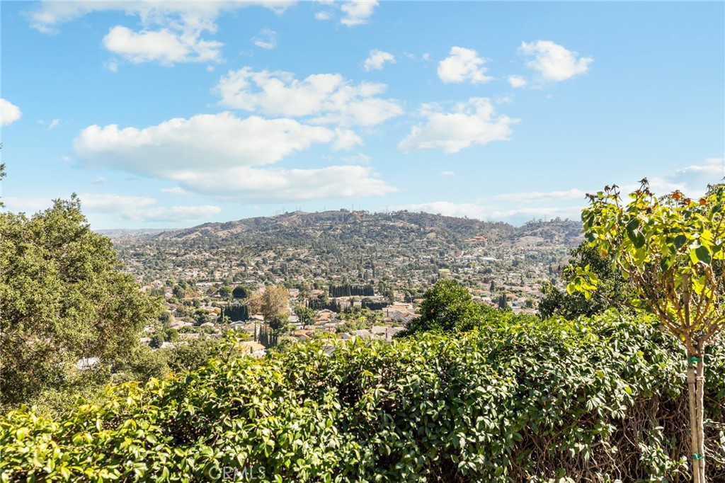 3076 Turnbull Canyon Property Photo 46