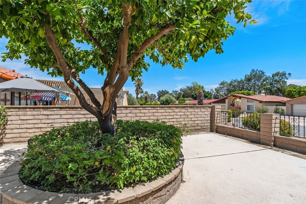 76624 Florida Property Photo 5