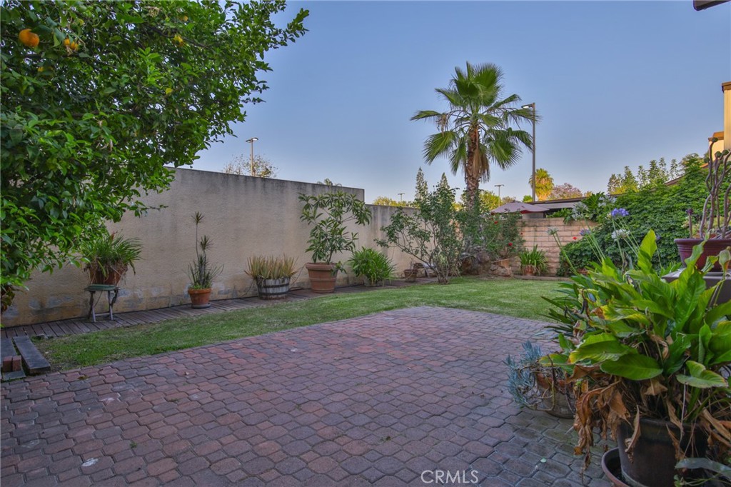 1415 Athena Property Photo 33