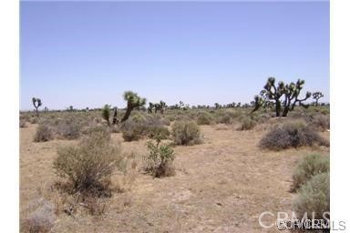 0 Avenue N Property Photo 2
