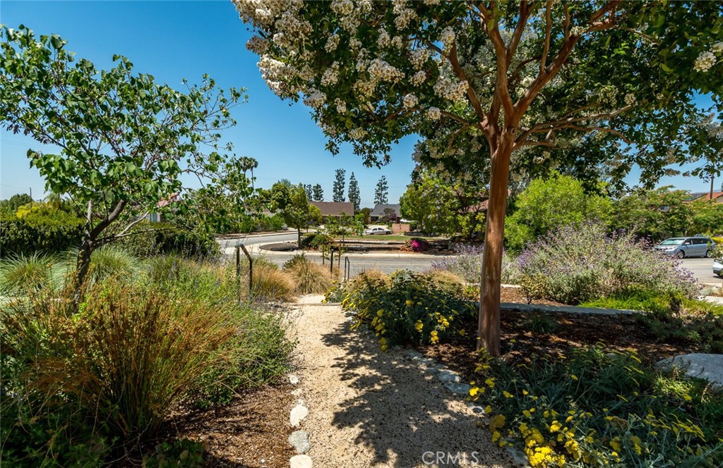 2220 W Silver Tree Property Photo 68