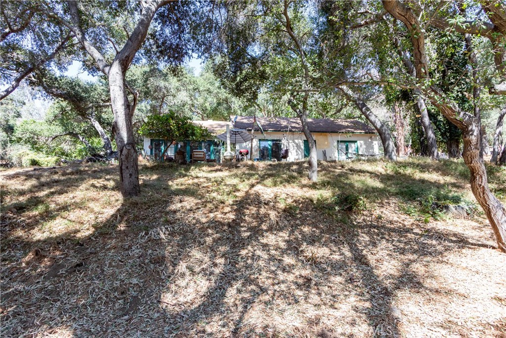 539 Cloverleaf Property Photo 3