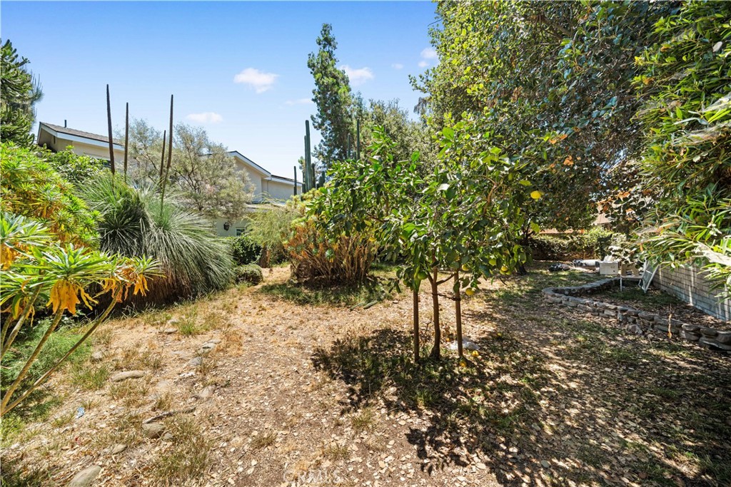 5916 Rosemead Blvd Property Photo 25
