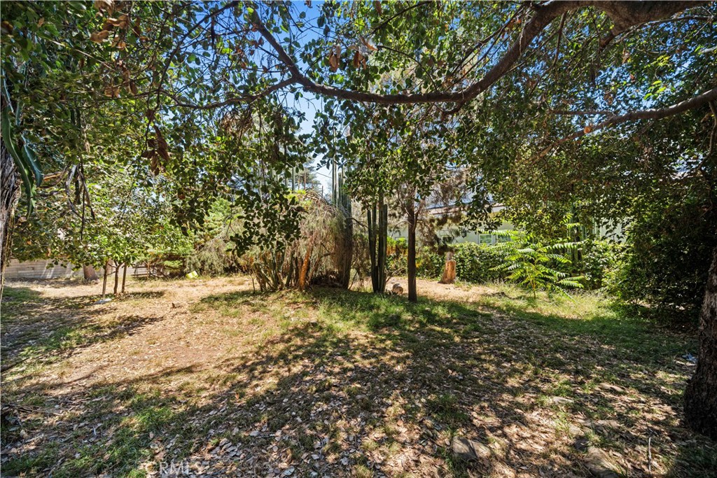 5916 Rosemead Blvd Property Photo 28
