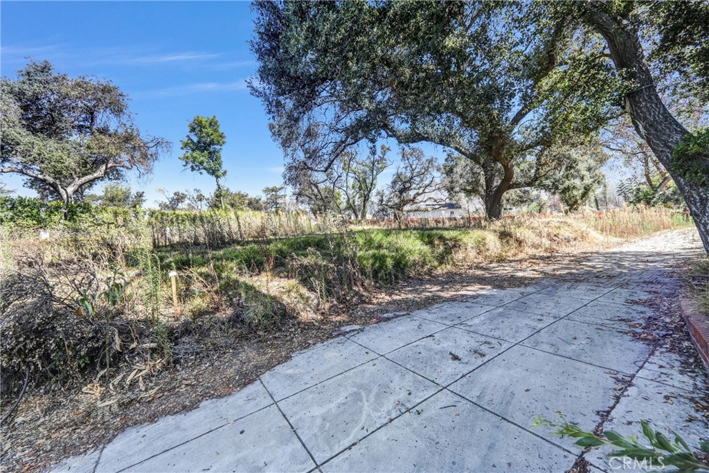 1085 Rubio Property Photo 6