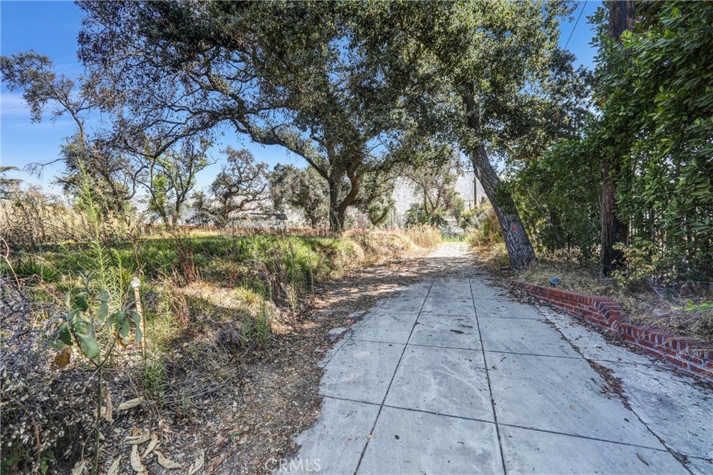 1085 Rubio Property Photo 7