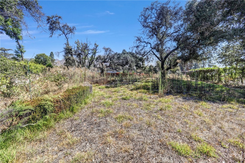 1085 Rubio Property Photo 8