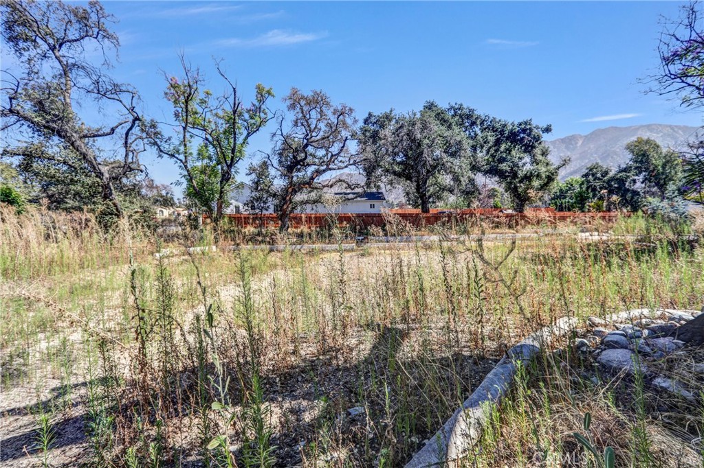 1085 Rubio Property Photo 10