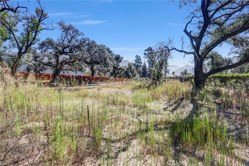 1085 Rubio Property Photo 11