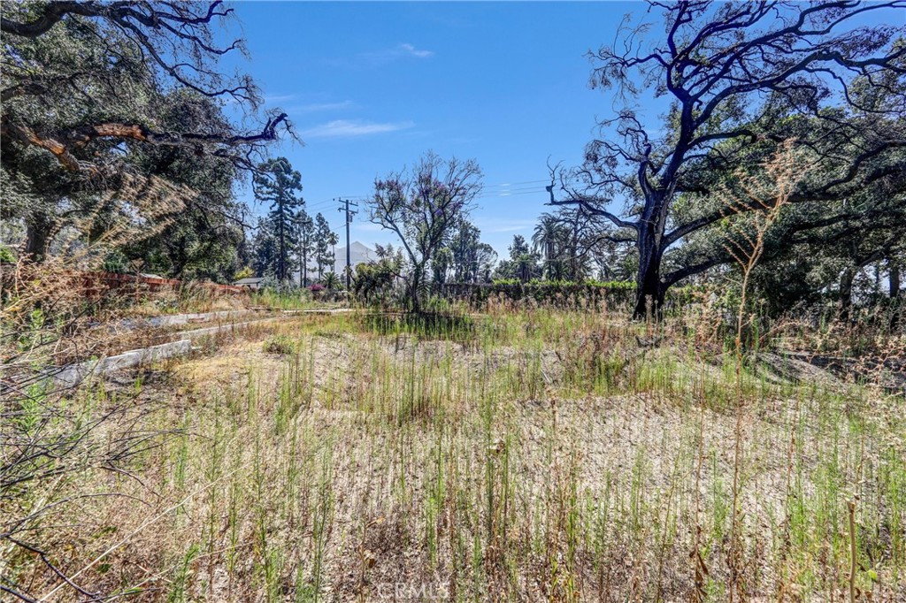 1085 Rubio Property Photo 12