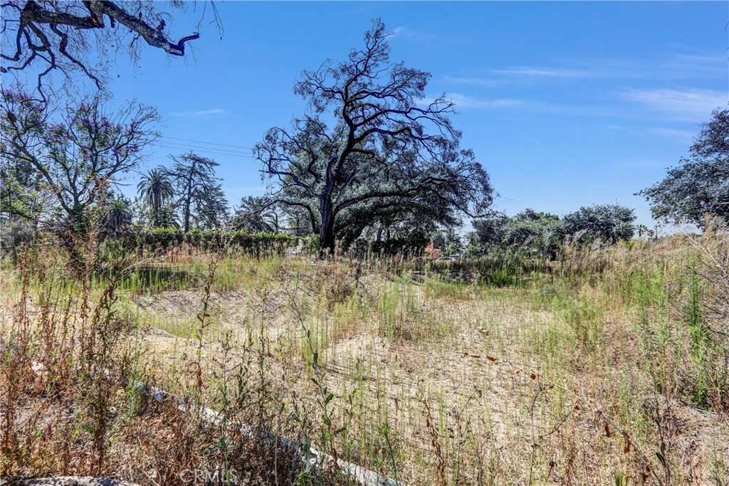 1085 Rubio Property Photo 13
