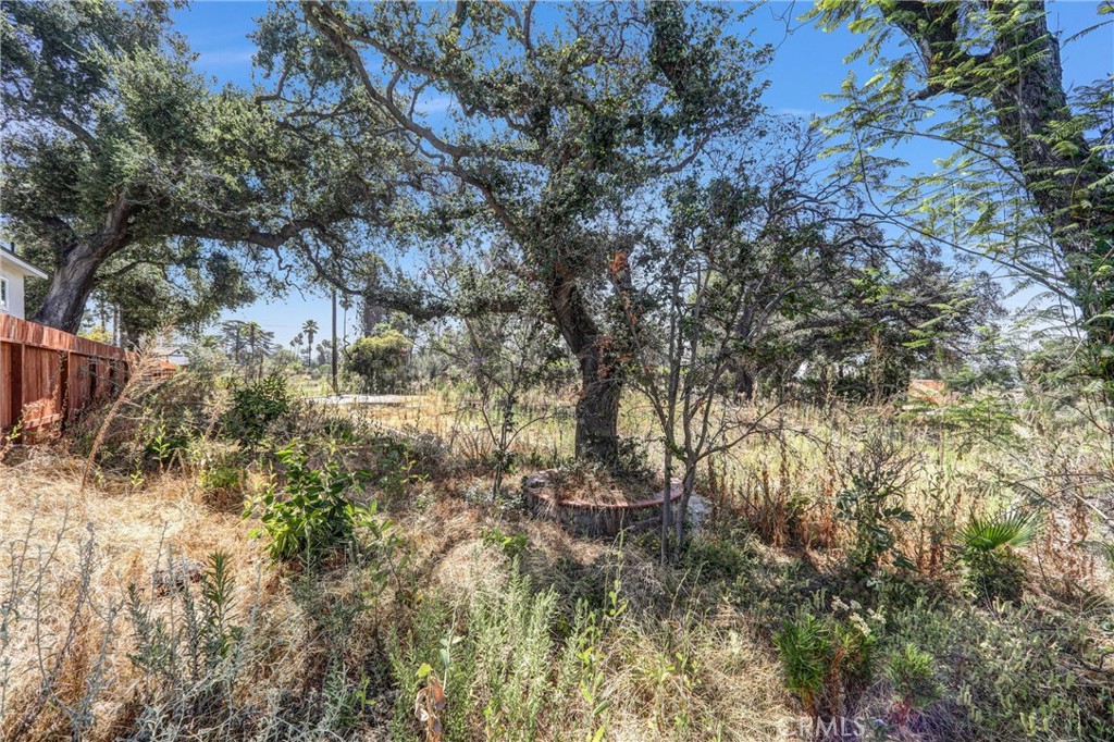 1085 Rubio Property Photo 14