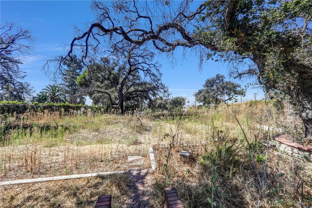 1085 Rubio Property Photo 15