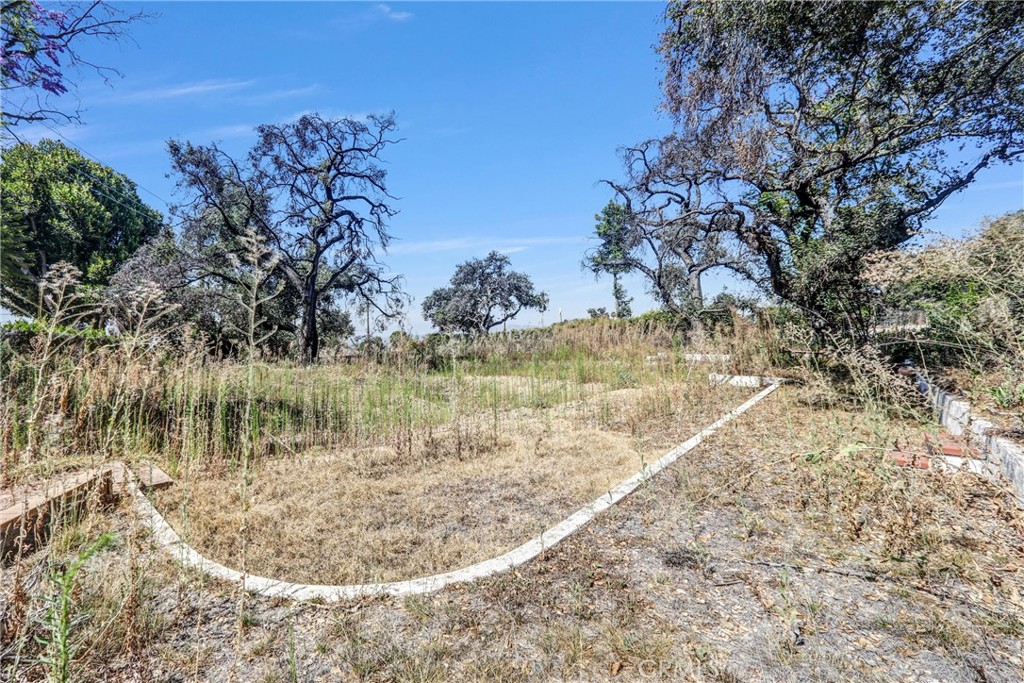1085 Rubio Property Photo 16