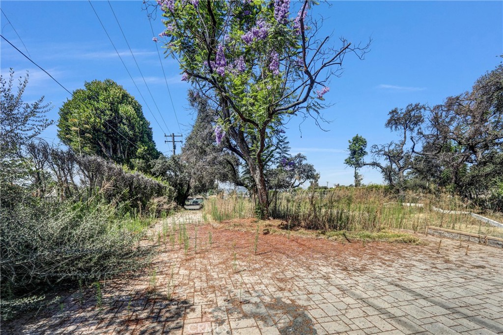 1085 Rubio Property Photo 18