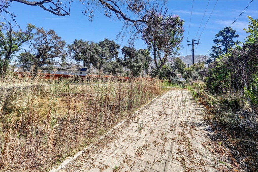 1085 Rubio Property Photo 20