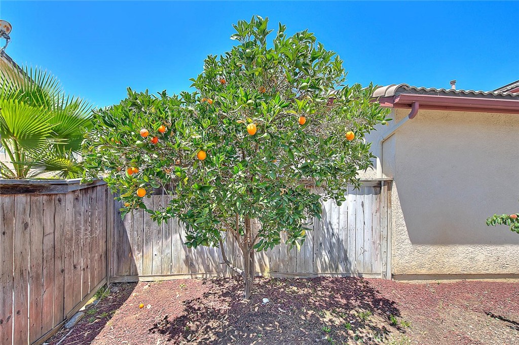 1430 Orange Tree Lane Property Photo 37