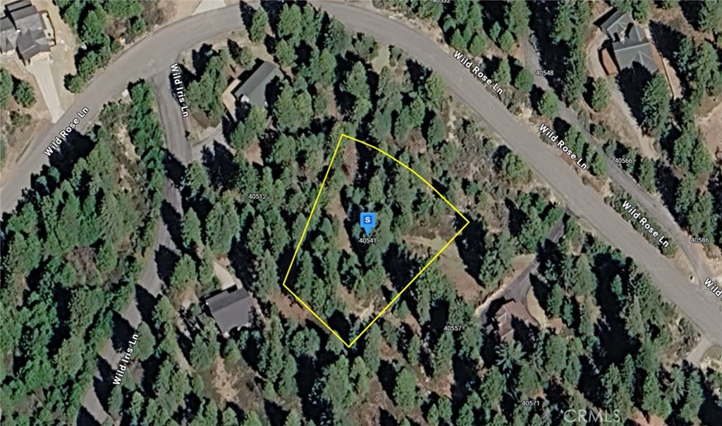 40541 Wild Rose Property Photo 1