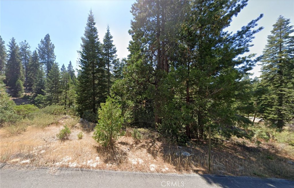 40541 Wild Rose Property Photo 2