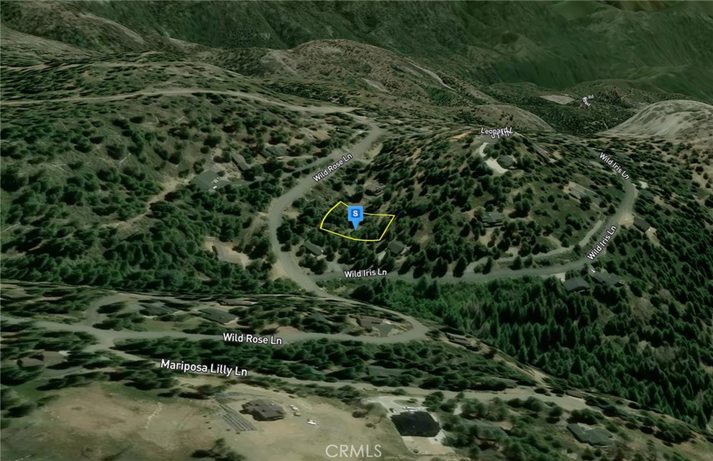 40541 Wild Rose Property Photo 3