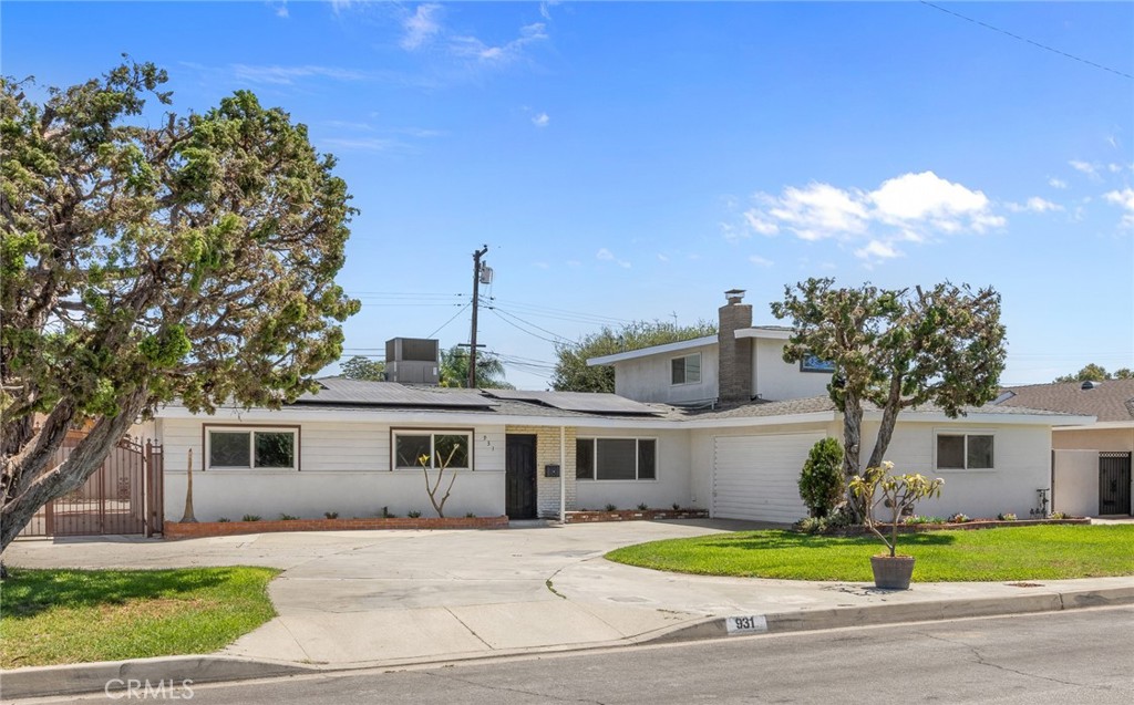 931 W Bainbridge Property Photo