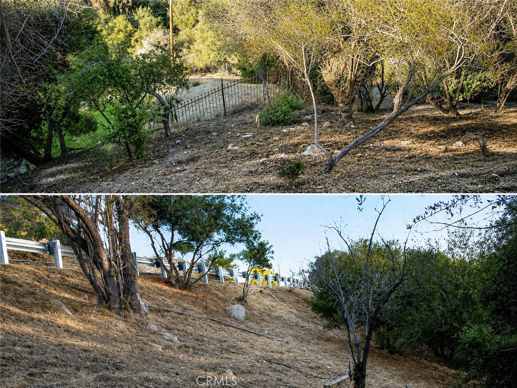 0 Flora Morgan Trail Property Photo 2