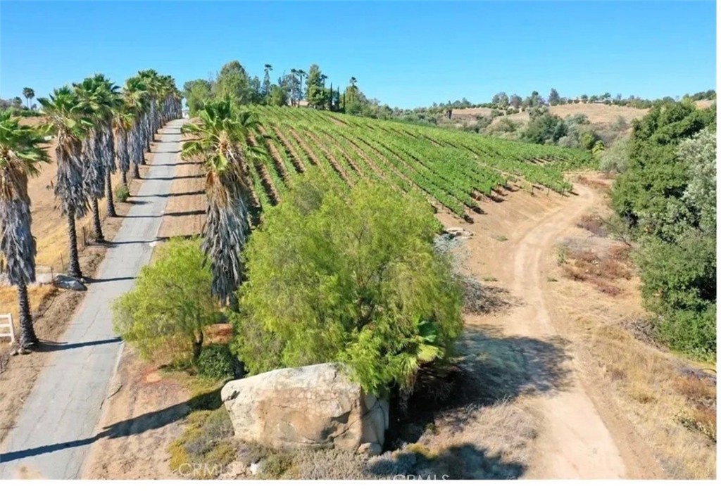 39850 Kapalua Way Property Photo 28