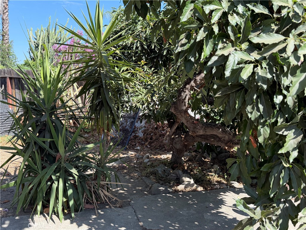 359 Drake Property Photo 18