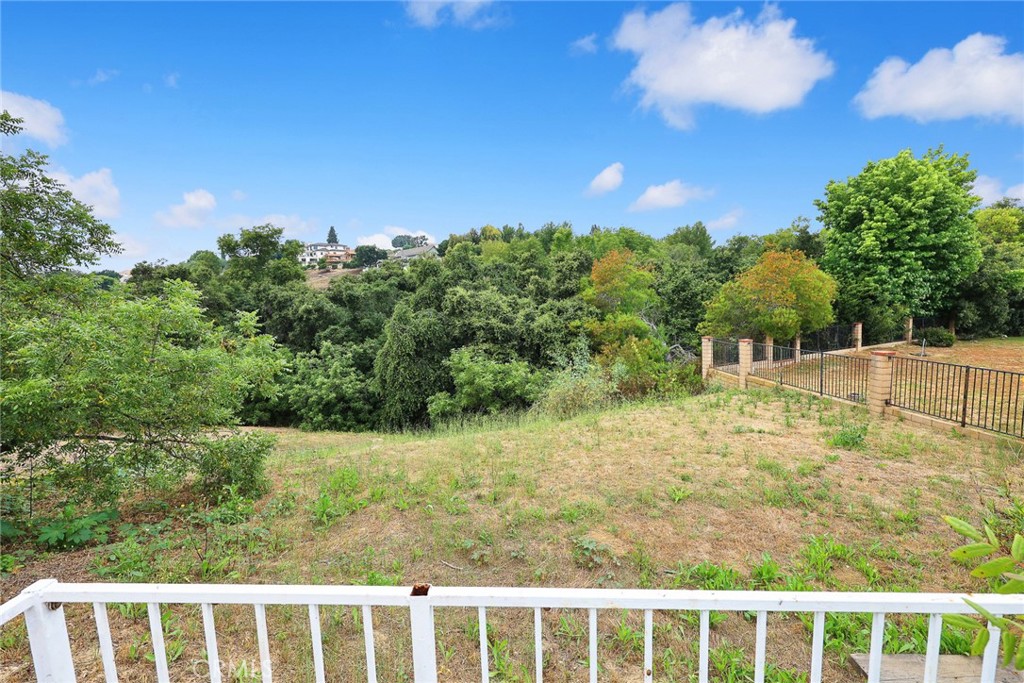 22427 Steeplechase Lane Property Photo 49