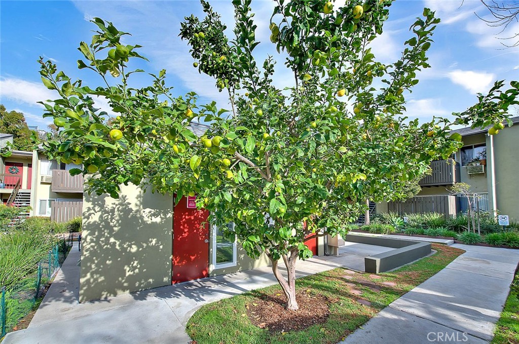 4822 Hollow Corner 177 Property Photo 18