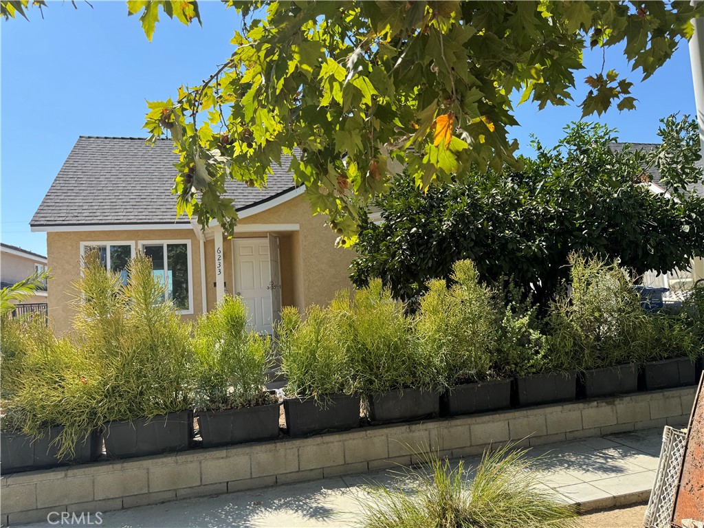 6233 Rosemead Property Photo 1