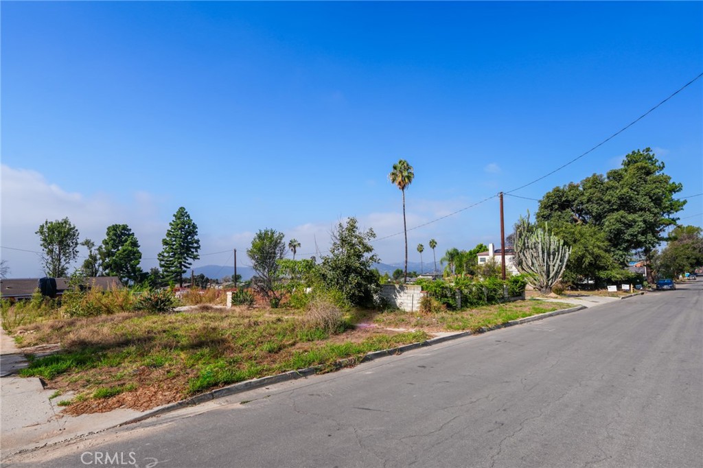 226 E Las Flores Drive Property Photo 8