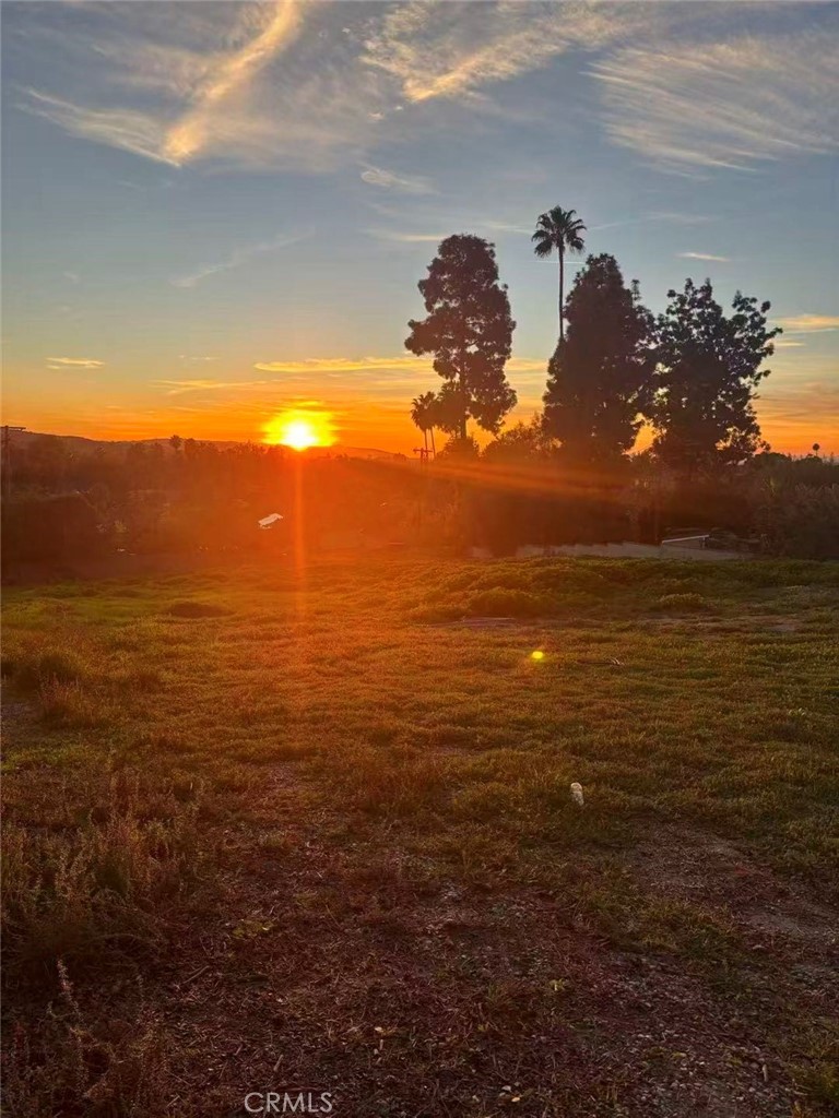 20528 E Rancho Los Cerritos Road Property Photo 4