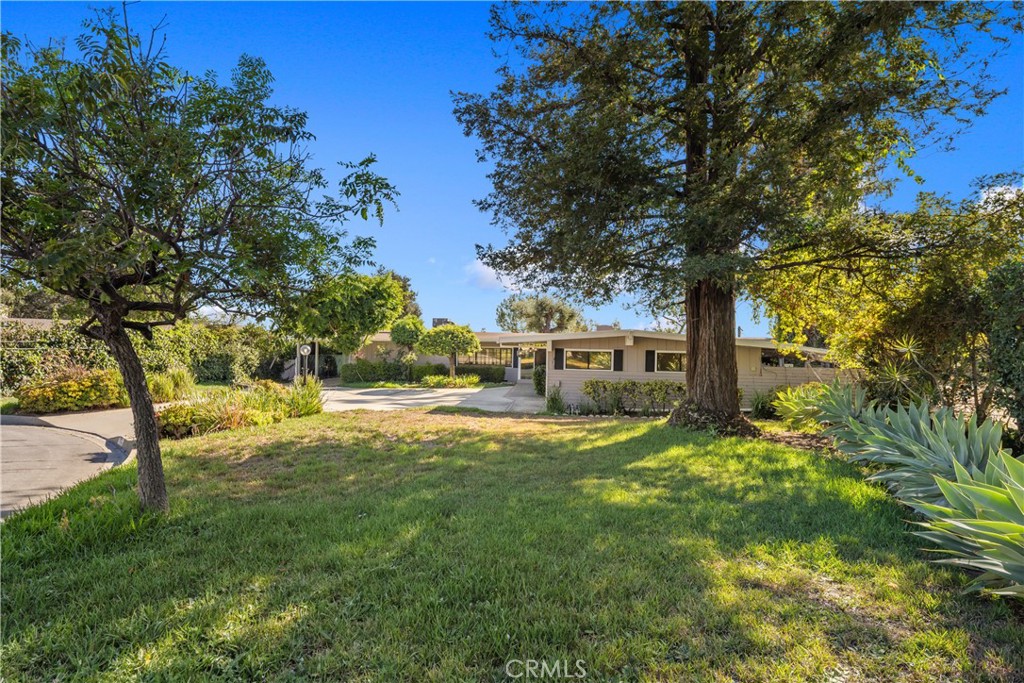 595 Rim Road Property Photo 10