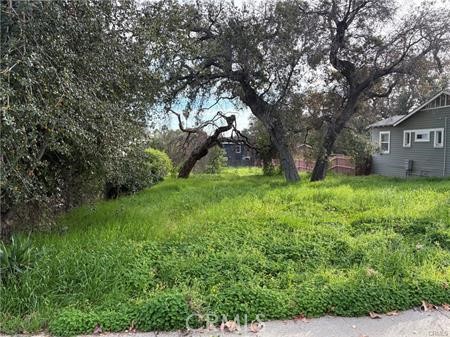 0 Mariposa Avenue Property Photo 1