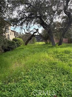 0 Mariposa Avenue Property Photo 3