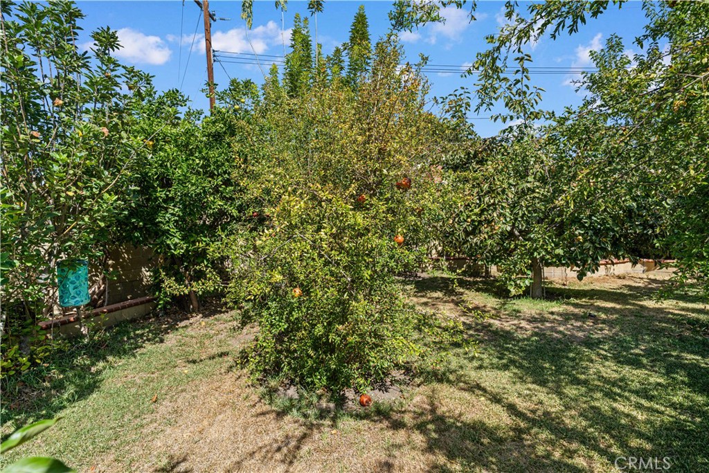 1509 Sekio Property Photo 47