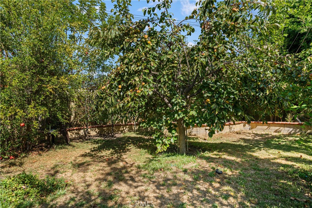 1509 Sekio Property Photo 48