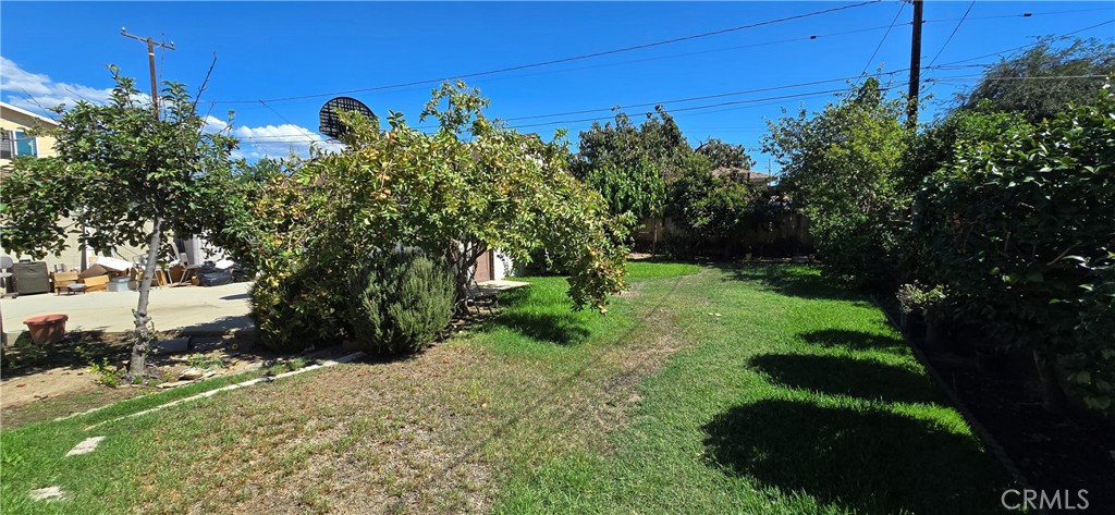 4808 Willard Property Photo 9