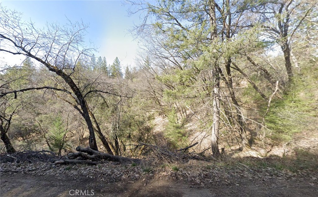 500 Hill Haven Drive Property Photo 2